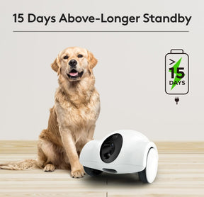 🥇🥇Automatic Mobile Remote Pet Feeding Two-way Audio HD 360° Night Vision Robotic Camera