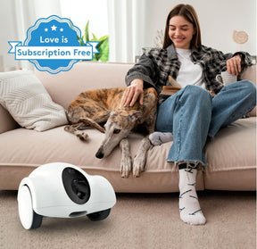 🥇🥇Automatic Mobile Remote Pet Feeding Two-way Audio HD 360° Night Vision Robotic Camera